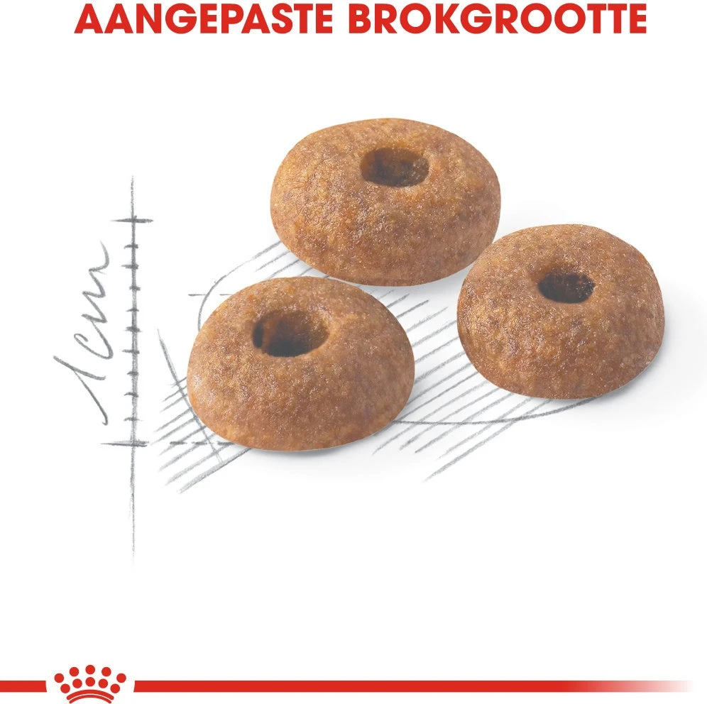 Royal Canin Kattenvoer Fit 32 2 Kg 2 Royal Canin Kattenvoer Fit 32 2 Kg - Afbeelding 2