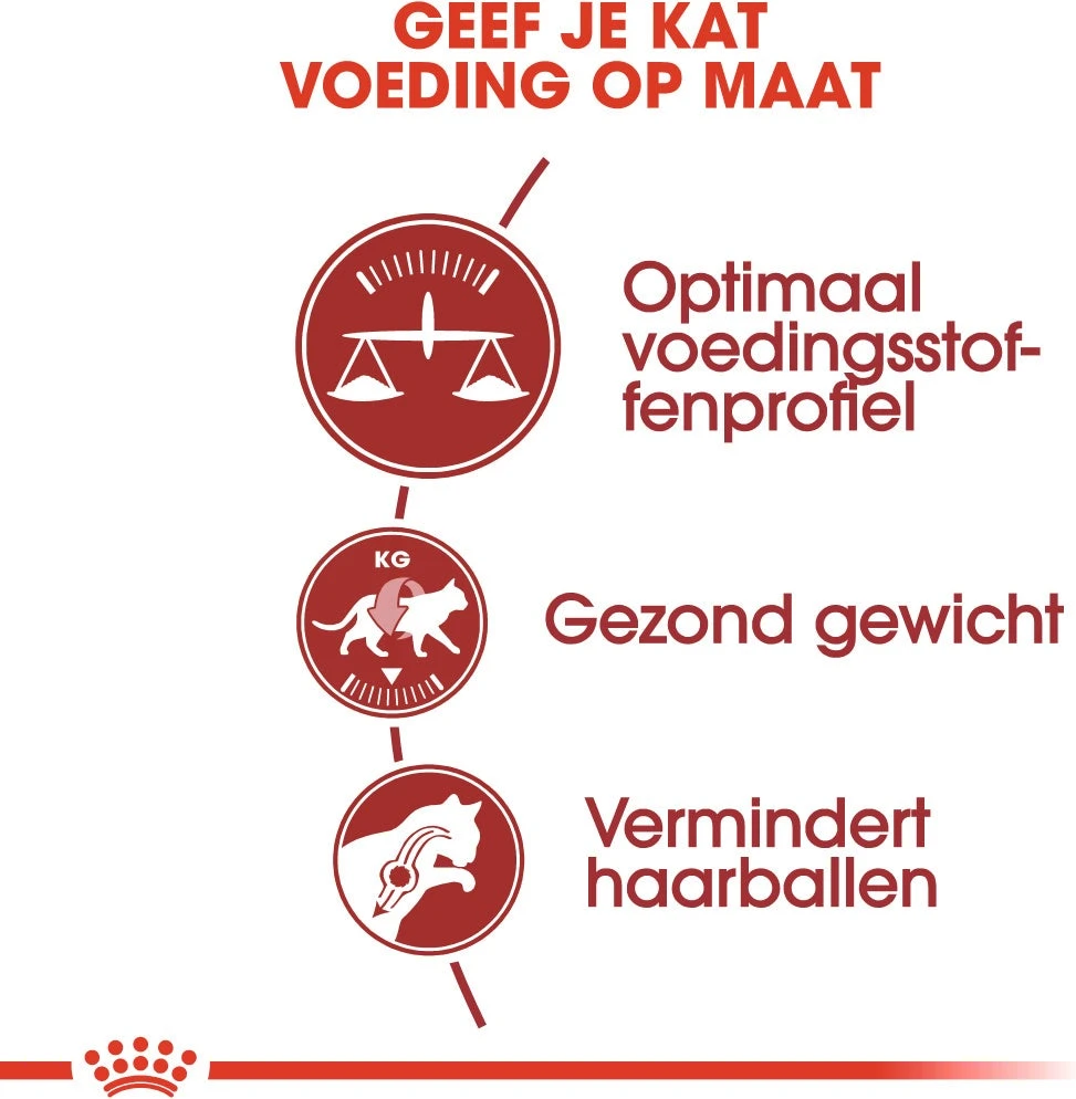 Royal Canin Kattenvoer Fit 32 2 Kg 3 Royal Canin Kattenvoer Fit 32 2 Kg - Afbeelding 3