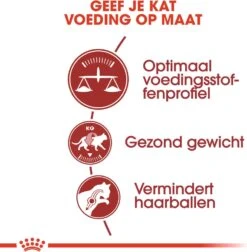 Royal Canin Kattenvoer Fit 32 10 Kg -Beeztets Winkel 3182550702249 3