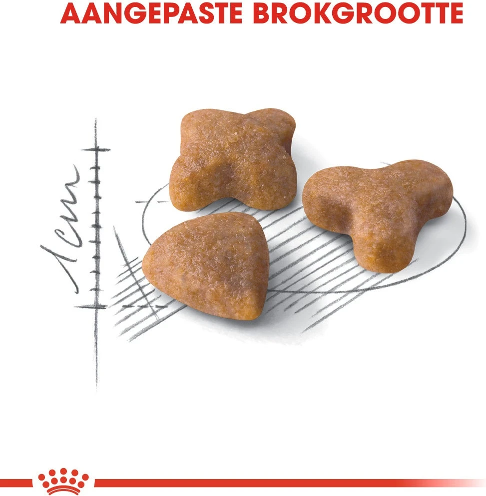 Royal Canin Kattenvoer Sensible 33 10 Kg 2 Royal Canin Kattenvoer Sensible 33 10 Kg - Afbeelding 2