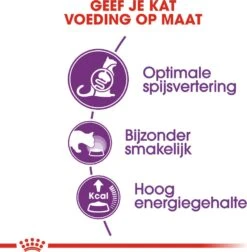 Royal Canin Kattenvoer Sensible 33 10 Kg 7 Royal Canin Kattenvoer Sensible 33 10 Kg -Beeztets Winkel 3182550702355 3