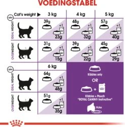 Royal Canin Kattenvoer Sensible 33 10 Kg 8 Royal Canin Kattenvoer Sensible 33 10 Kg -Beeztets Winkel 3182550702355 4