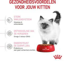 Royal Canin Kattenvoer Kitten 4 Kg -Beeztets Winkel 3182550702447 4