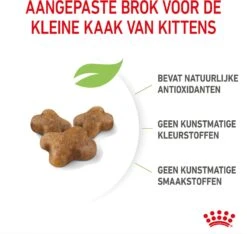Royal Canin Kattenvoer Kitten 4 Kg -Beeztets Winkel 3182550702447 5