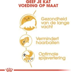 Royal Canin Kattenvoer Persian Adult 2 Kg -Beeztets Winkel 3182550702614 4