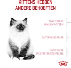 Royal Canin Kattenvoer Kitten 10 Kg -Beeztets Winkel 3182550702973 3