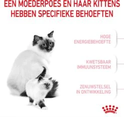 Royal Canin Kattenvoer Mother & Babycat 4 Kg -Beeztets Winkel 3182550707329 3