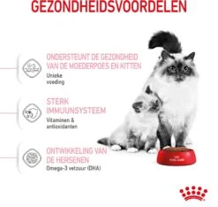 Royal Canin Kattenvoer Mother & Babycat 4 Kg -Beeztets Winkel 3182550707329 4