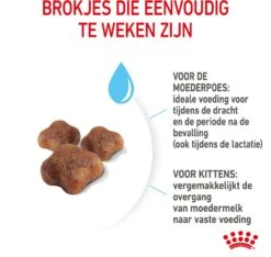 Royal Canin Kattenvoer Mother & Babycat 4 Kg -Beeztets Winkel 3182550707329 5