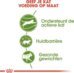 Royal Canin Kattenvoer Outdoor 4 Kg -Beeztets Winkel 3182550707381 3
