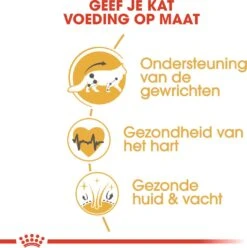 Royal Canin Kattenvoer Maine Coon Adult 10 Kg -Beeztets Winkel 3182550710664 4