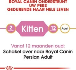 Royal Canin Kattenvoer Persian Kitten 2 Kg -Beeztets Winkel 3182550721219 4