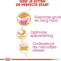 Royal Canin Kattenvoer Persian Kitten 2 Kg -Beeztets Winkel 3182550721219 5