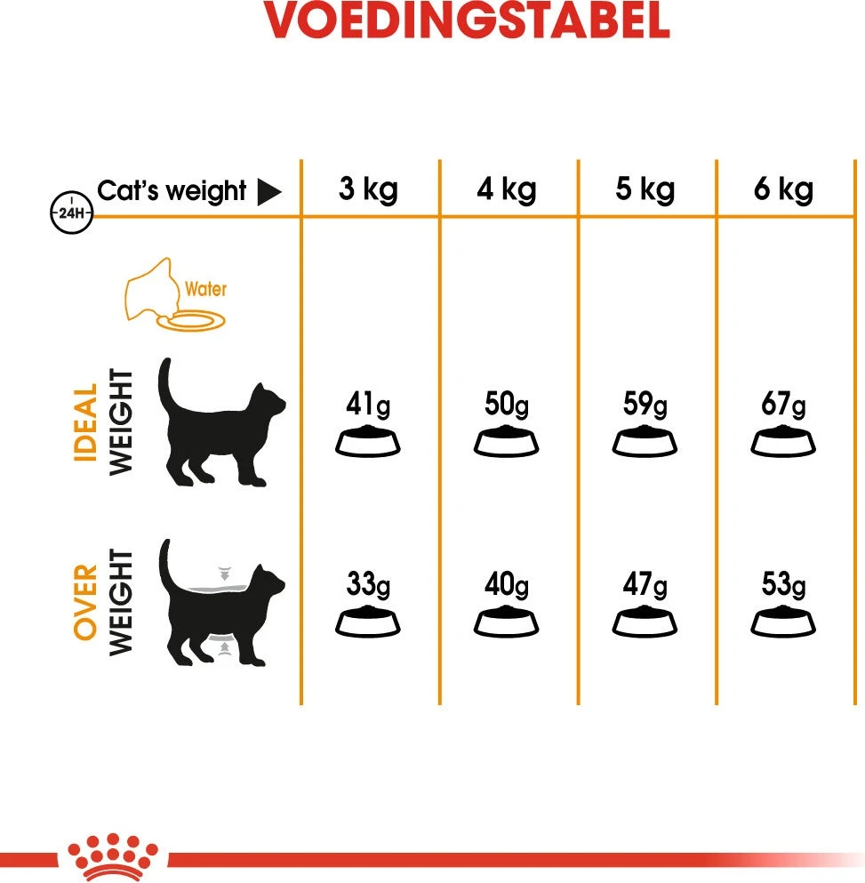 Royal Canin Kattenvoer Hair & Skin Care 2 Kg 4 Royal Canin Kattenvoer Hair & Skin Care 2 Kg - Afbeelding 4