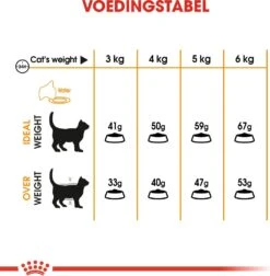 Royal Canin Kattenvoer Hair & Skin Care 10 Kg -Beeztets Winkel 3182550721752 4