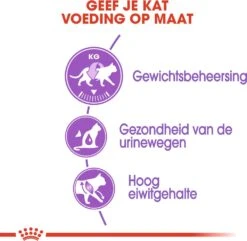 Royal Canin Kattenvoer Sterilised 37 4 Kg -Beeztets Winkel 3182550737616 3