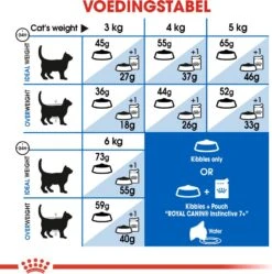 Royal Canin Kattenvoer Indoor 7+ 3,5 Kg -Beeztets Winkel 3182550784412 5