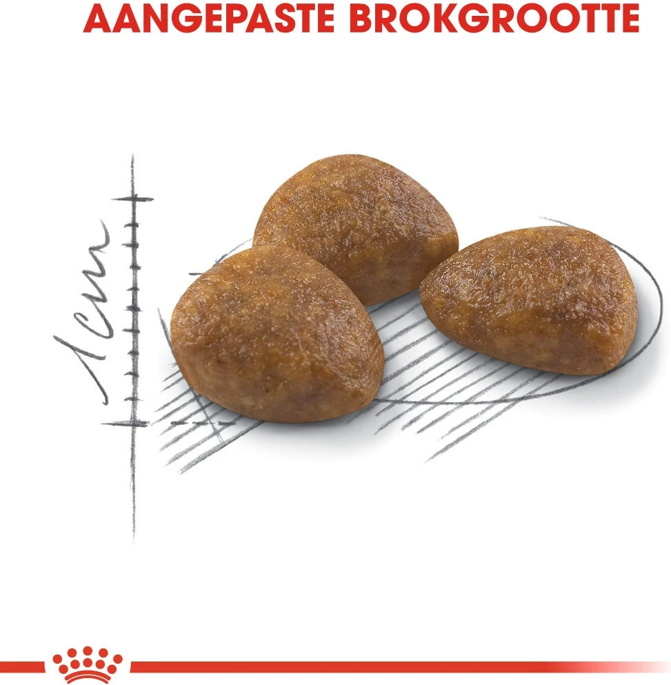 Royal Canin Kattenvoer Outdoor 7+ 4 Kg 2 Royal Canin Kattenvoer Outdoor 7+ 4 Kg - Afbeelding 2