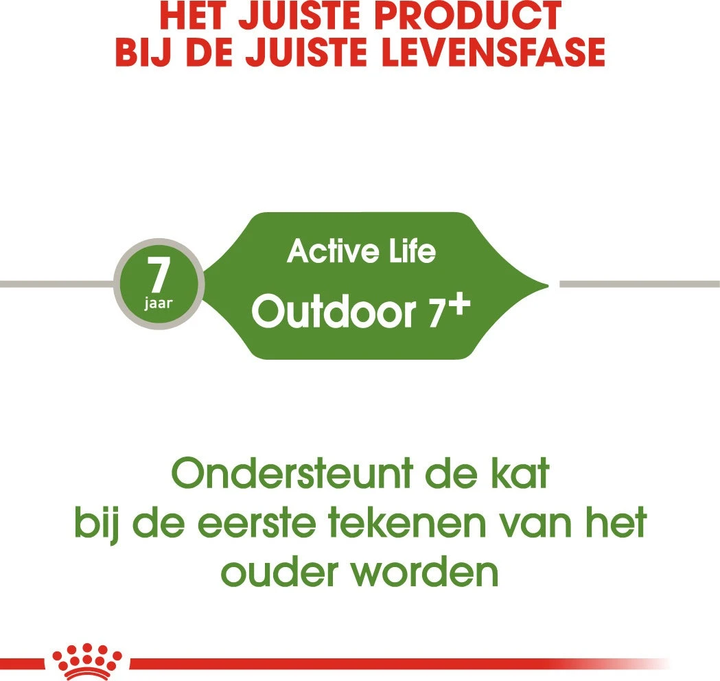 Royal Canin Kattenvoer Outdoor 7+ 4 Kg 4 Royal Canin Kattenvoer Outdoor 7+ 4 Kg - Afbeelding 4