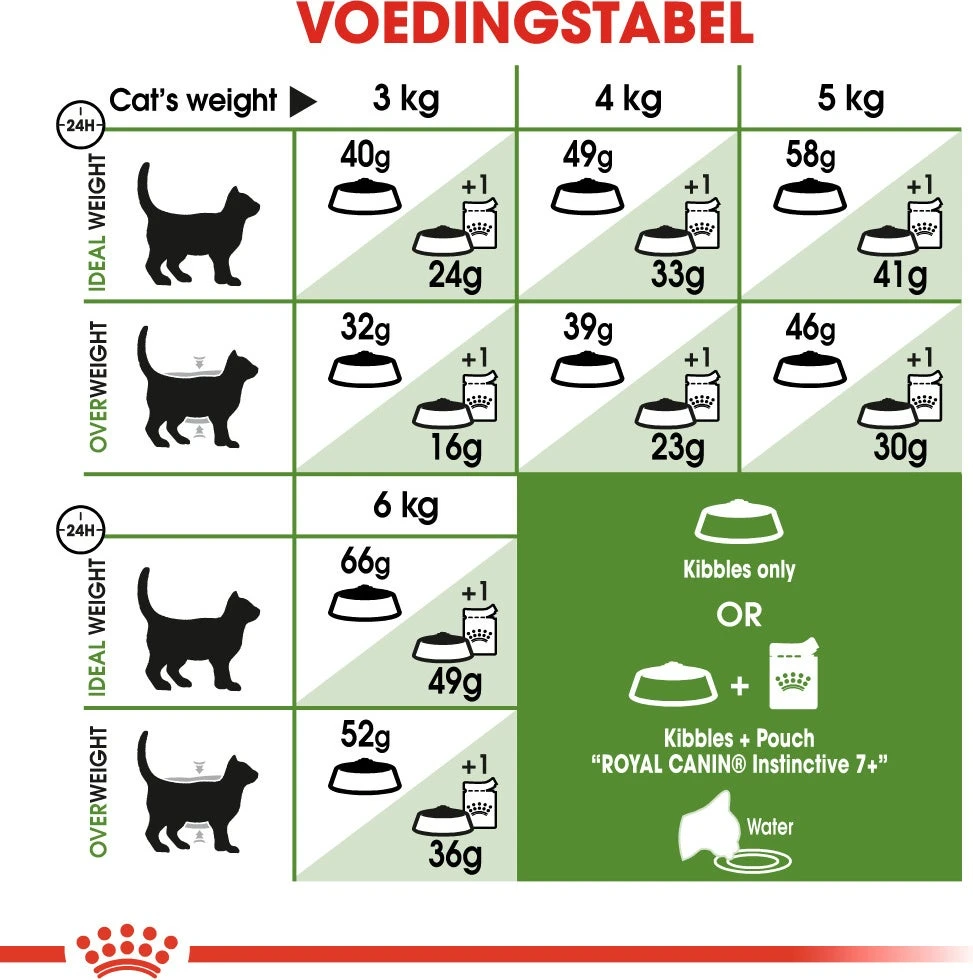 Royal Canin Kattenvoer Outdoor 7+ 4 Kg 5 Royal Canin Kattenvoer Outdoor 7+ 4 Kg - Afbeelding 5