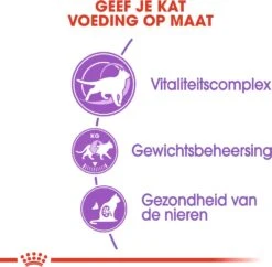 Royal Canin Kattenvoer Sterilised 7+ 3,5 Kg 8 Royal Canin Kattenvoer Sterilised 7+ 3,5 Kg -Beeztets Winkel 3182550784580 3