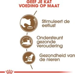 Royal Canin Kattenvoer Ageing 12+ 4 Kg -Beeztets Winkel 3182550786225 3