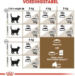 Royal Canin Kattenvoer Ageing 12+ 4 Kg -Beeztets Winkel 3182550786225 5