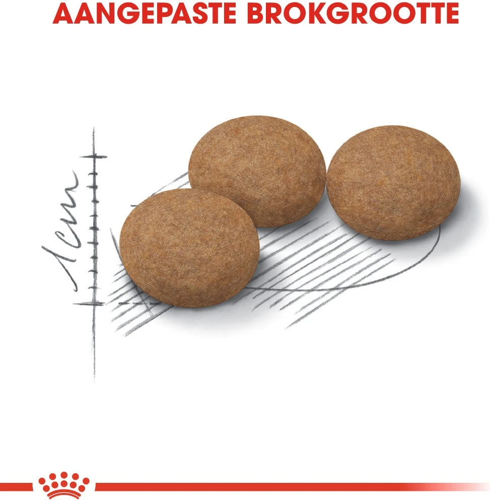 Royal Canin Kattenvoer Ageing Sterilised 12+ 4 Kg 2 Royal Canin Kattenvoer Ageing Sterilised 12+ 4 Kg - Afbeelding 2