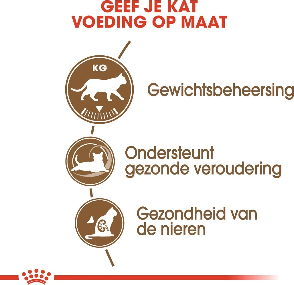 Royal Canin Kattenvoer Ageing Sterilised 12+ 4 Kg 3 Royal Canin Kattenvoer Ageing Sterilised 12+ 4 Kg - Afbeelding 3