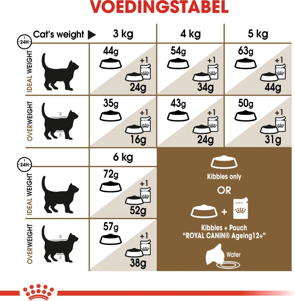 Royal Canin Kattenvoer Ageing Sterilised 12+ 4 Kg 5 Royal Canin Kattenvoer Ageing Sterilised 12+ 4 Kg - Afbeelding 5
