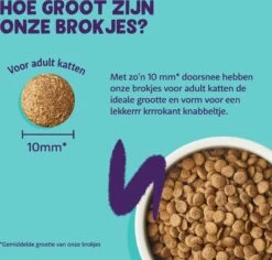 Edgard & Cooper Kattenvoer Zalm Adult 2 Kg -Beeztets Winkel 5407009640360 4