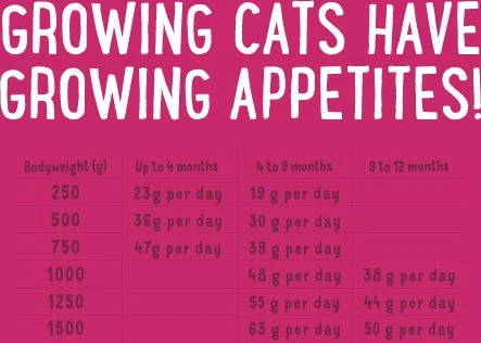 Edgard & Cooper Droogvoer Kip Met Eend En Vis 1,75 Kg 3 Edgard & Cooper Droogvoer Kip Met Eend En Vis 1,75 Kg - Afbeelding 3