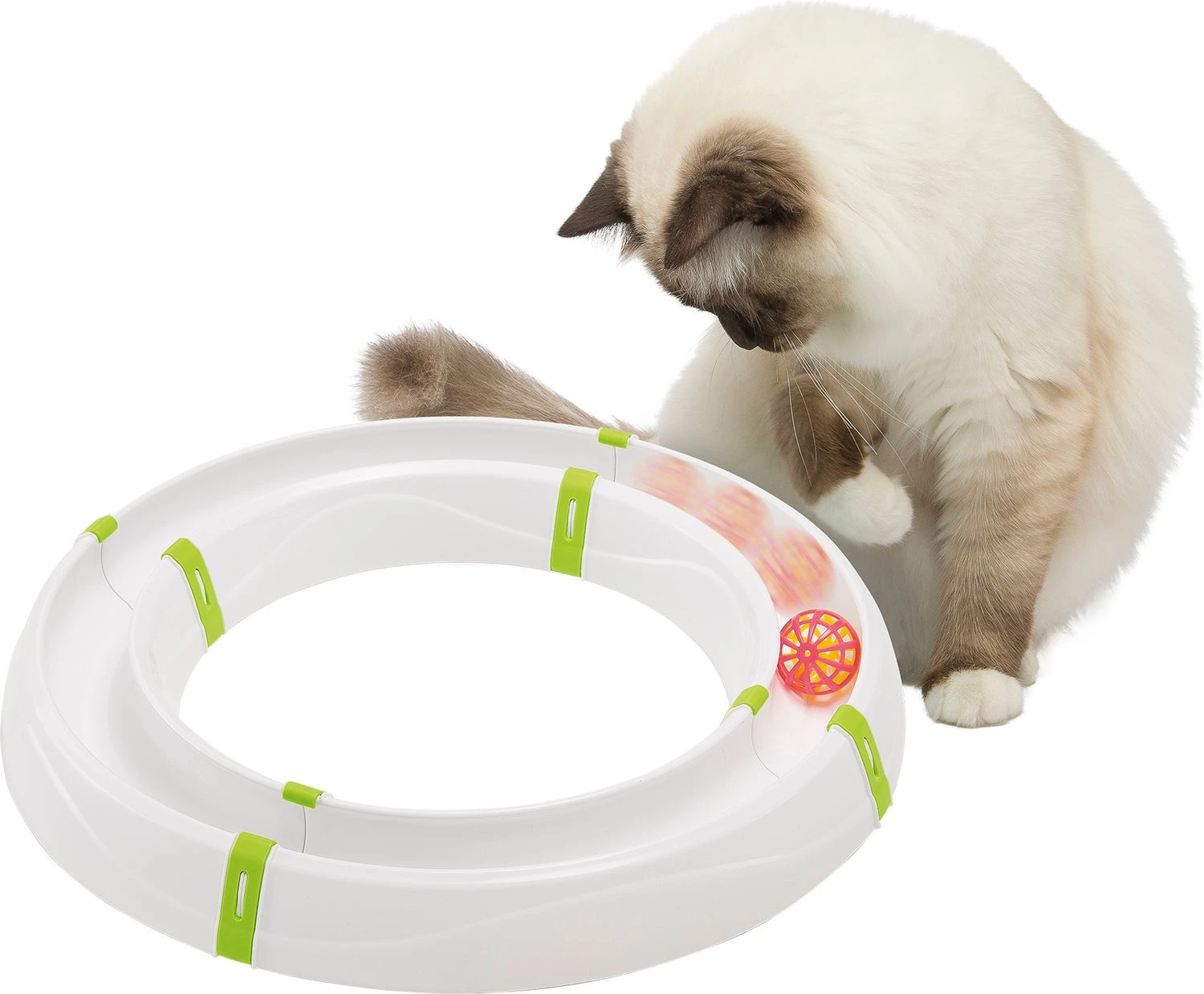 Ferplast Kattenspeelgoed Magic Cirle Wit D 40 H 5 Cm 2 Ferplast Kattenspeelgoed Magic Cirle Wit D 40 H 5 Cm - Afbeelding 2