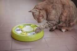 Ferplast Kattenspeelgoed Discover Groen D 23 Cm -Beeztets Winkel 8010690156101 5