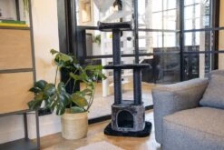 Beeztees Krabpaal Bondica Zwat 50 X 50 X 120 Cm 5 Beeztees Krabpaal Bondica Zwat 50 X 50 X 120 Cm -Beeztets Winkel 8712695167020 4