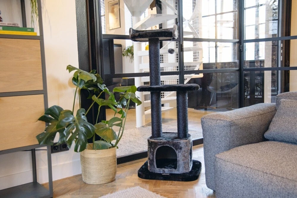 Beeztees Krabpaal Bondica Zwat 50 X 50 X 120 Cm 3 Beeztees Krabpaal Bondica Zwat 50 X 50 X 120 Cm - Afbeelding 3