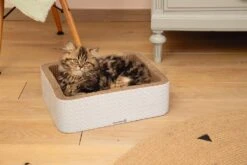 Beeztees Krabmeubel Kero Blauw 40 X 31 X 12 Cm -Beeztets Winkel 8712695185727 4