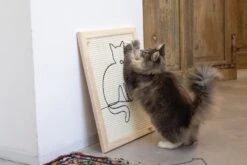 Designed By Lotte Krabplank Sammy Bruin 50 X 40 X 2 Cm -Beeztets Winkel 8712695193296 4