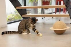 Designed By Lotte Krabbol Balty Bruin D 29,5 H 20 Cm -Beeztets Winkel 8712695193333 4