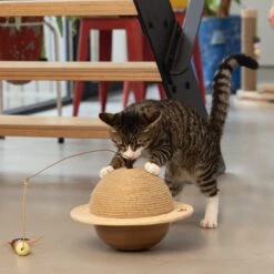 Designed By Lotte Krabbol Balty Bruin D 29,5 H 20 Cm -Beeztets Winkel 8712695193333 5