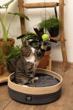 Beeztees Kattenmand Minus One Xana Grijs/bruin D 45 H 14 Cm 16 Beeztees Kattenmand Minus One Xana Grijs/bruin D 45 H 14 Cm -Beeztets Winkel 8712695197188 8