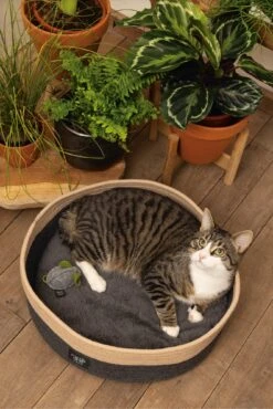 Beeztees Kattenmand Minus One Xana Grijs/bruin D 45 H 14 Cm 17 Beeztees Kattenmand Minus One Xana Grijs/bruin D 45 H 14 Cm -Beeztets Winkel 8712695197188 9