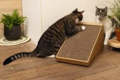 Beeztees Krabplank Minus One Bruin 49 X 25 X 24,5 Cm -Beeztets Winkel 8712695197218 5