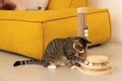 Designed By Lotte Krabpaal Inez Bruin 38 X 24,5 X 47,5 Cm 9 Designed By Lotte Krabpaal Inez Bruin 38 X 24,5 X 47,5 Cm -Beeztets Winkel 8712695197669 4