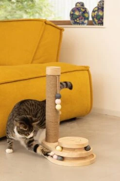 Designed By Lotte Krabpaal Inez Bruin 38 X 24,5 X 47,5 Cm 10 Designed By Lotte Krabpaal Inez Bruin 38 X 24,5 X 47,5 Cm -Beeztets Winkel 8712695197669 6