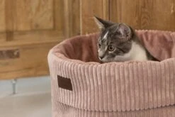 Designed By Lotte Kattenmand Roze D 50 H 35 Cm -Beeztets Winkel 8712695197805 11