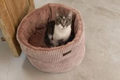 Designed By Lotte Kattenmand Roze D 50 H 35 Cm -Beeztets Winkel 8712695197805 9