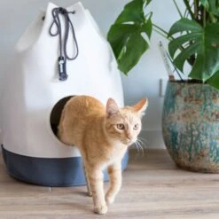 District 70 Kattenmand Casa Grijs D 45 H 60 Cm -Beeztets Winkel 8717202613267 7