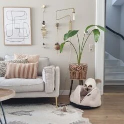 District 70 Kattenmand Tuck Beige D 50 H 30 Cm -Beeztets Winkel 8717202615049 4