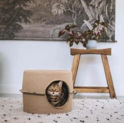 District 70 Kattenmand Bunker D 44 H 30 Cm -Beeztets Winkel 8717202615247 6